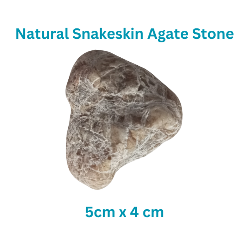 Natural Grecian Sea White Snakeskin Agate Beach Stone - 60g -Healing Energy, Meditation Aid, Spiritual Cleansing - Handpicked Gemstone